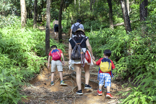 深圳梧桐山森林公园亲子户外运动