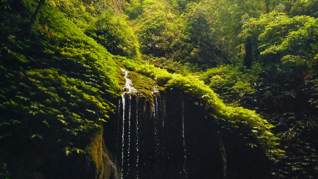 林中山涧