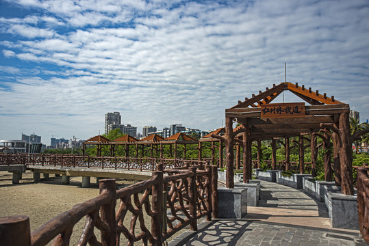 湛江红树林栈道