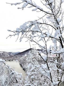 大兴安岭秋雪