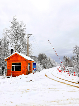 北疆怡园赏秋雪