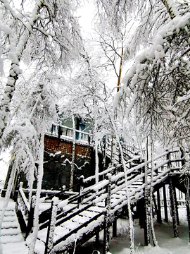 北疆怡园赏秋雪