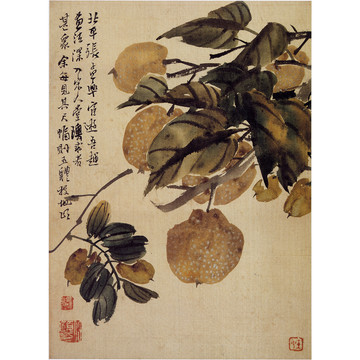 任頤花鳥國(guó)畫