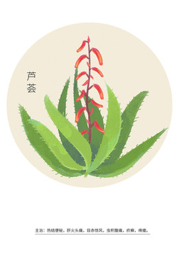 蘆薈