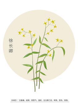徐長卿
