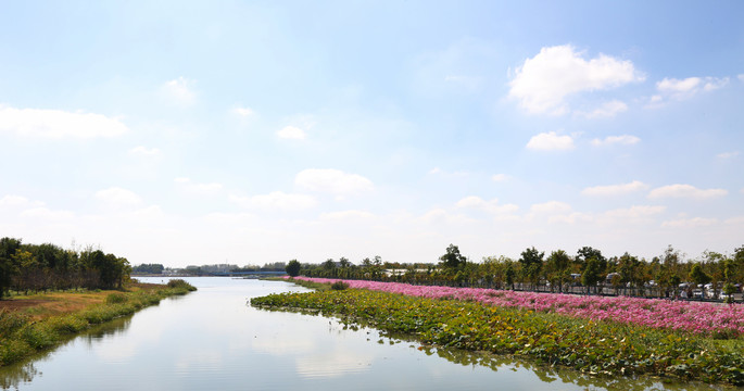 鲜花湖畔