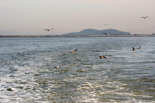 海岛风光