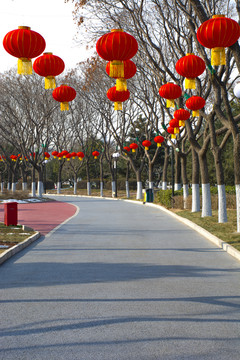 公園紅燈籠