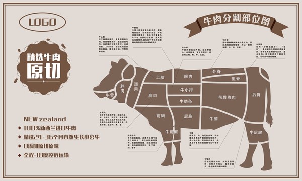 牛肉分割部位圖