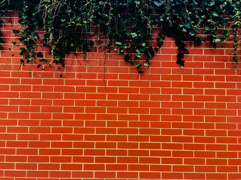 红砖墙背景墙