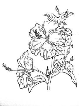 手繪花