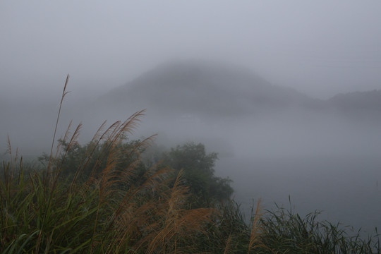 建德下涯晨雾风景