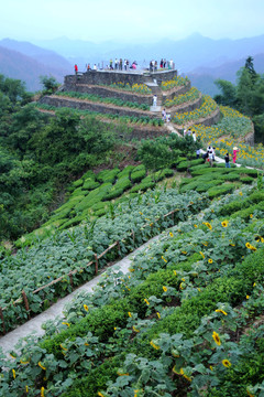 歙县旅游景点下汰