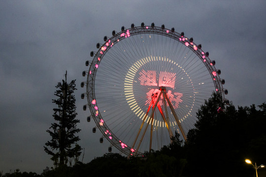 摩天轮夜景观景轮