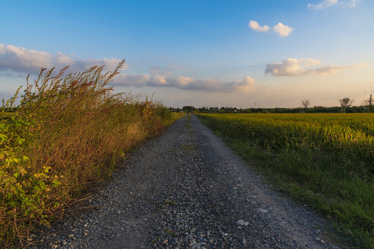 石子路