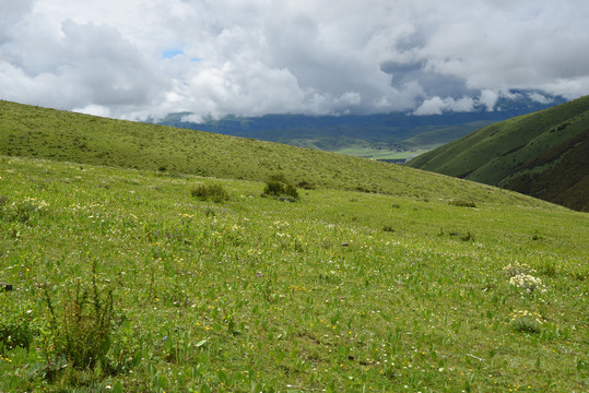 高原风光