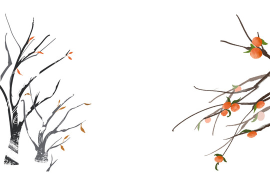原创手绘冬天树枝落叶柿子树插画