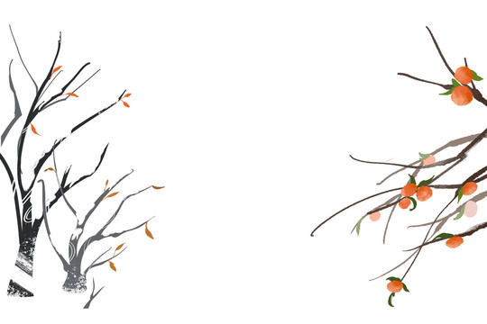 原創(chuàng)手繪冬天樹(shù)枝落葉柿子樹(shù)插畫(huà)