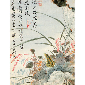 王武花卉?chē)?guó)畫(huà)