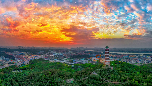 东莞榴花晚景