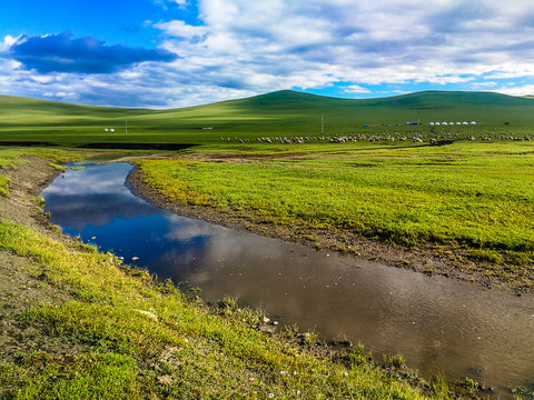 草原羊群蒙古包