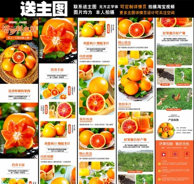 塔羅科血橙