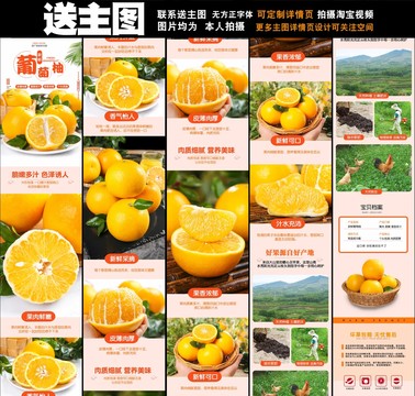 葡萄柚