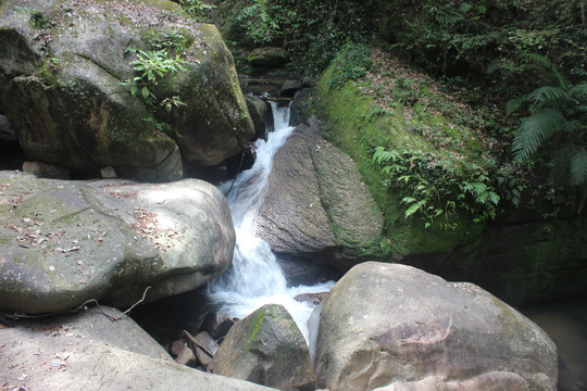 小溪流水