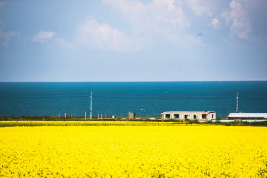 青海湖