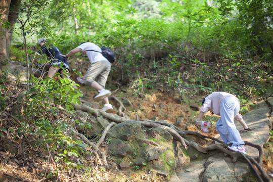 团建爬山运动