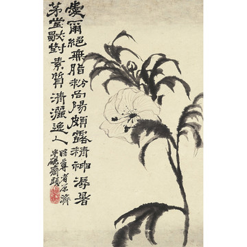 石濤花卉國畫