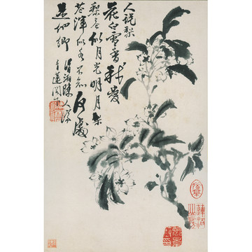 石濤花卉圖