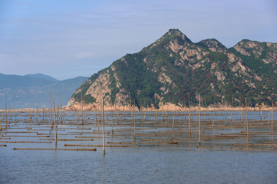 霞浦北岐滩涂