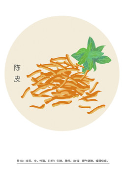 陳皮
