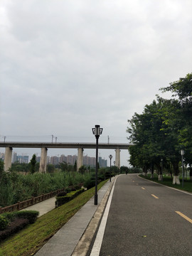 湿地公园道路