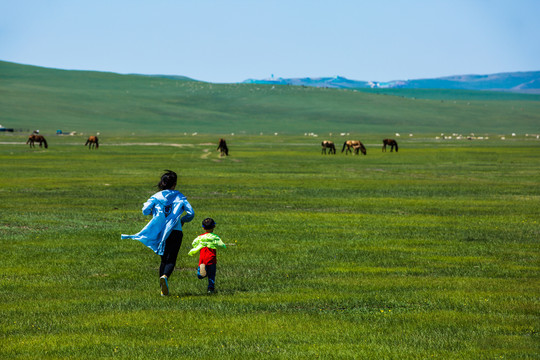 草原上奔跑的母子
