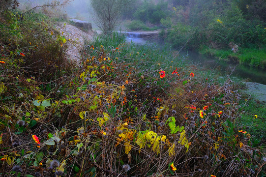 乡村小河