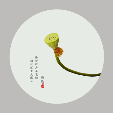 蓮蓬禪意圖