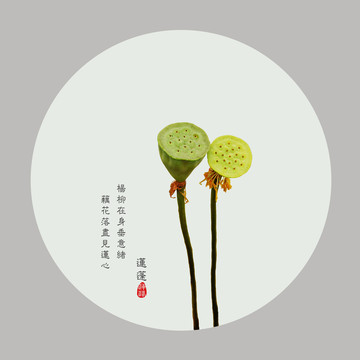 蓮蓬意境裝飾圖