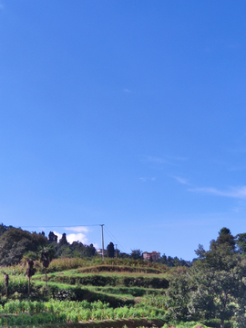 山区风景