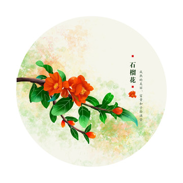 石榴花