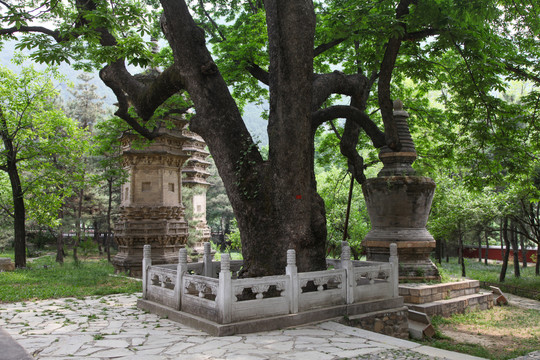 北京潭柘寺