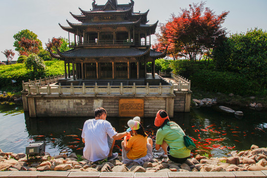 岳阳楼景区游客