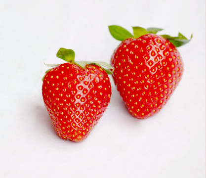 地莓