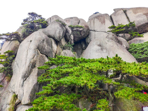 天柱山