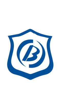 B字母企业logo
