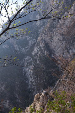 嵩山风景