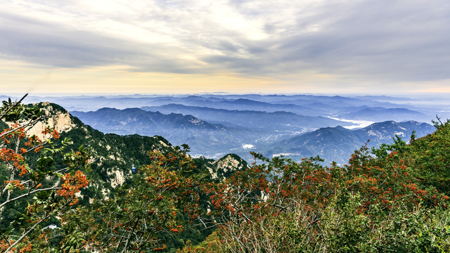 清晨泰山风光