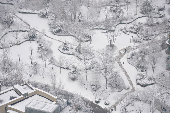 雪后的园林社区景色