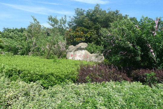 舟山桃花岛风景旅游区